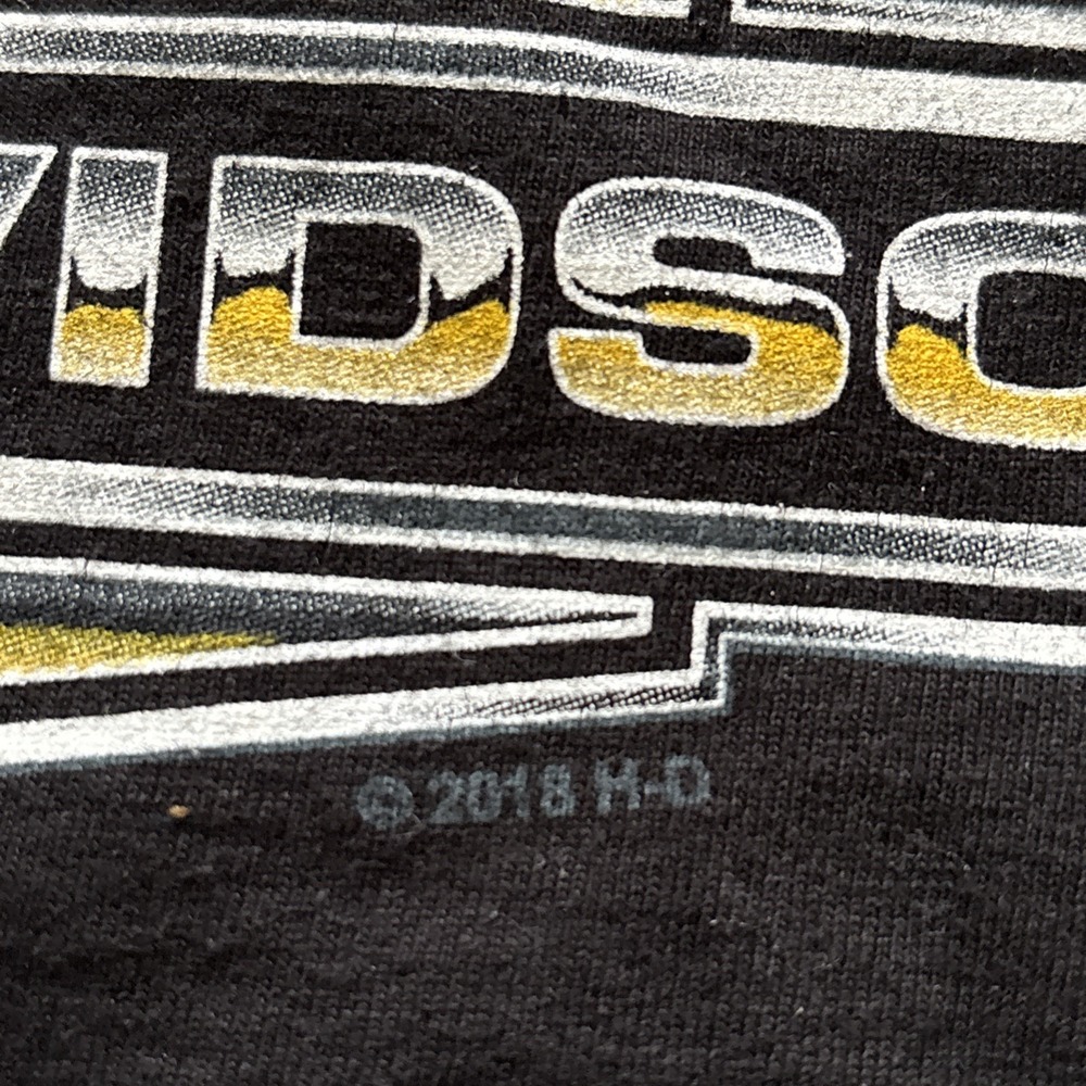 Vintage Harley Davidson Muscle T Shirt‎ Size Myrtle Beach Pirate Parrot 2XL Y2K - Picture 4 of 6